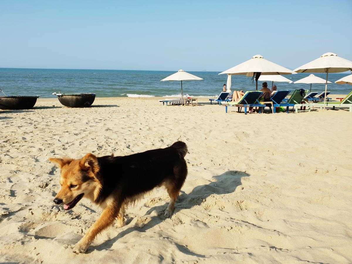 An Bang Beach Villa Hội An Extérieur photo